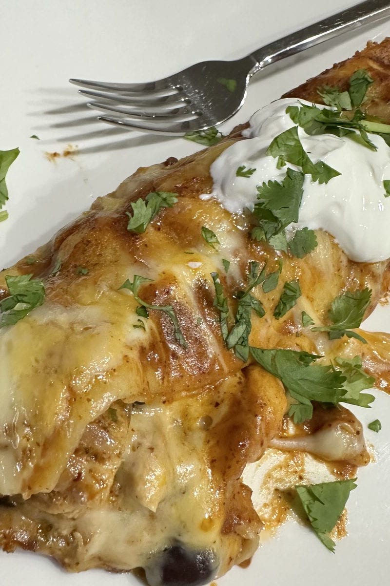 Baking dish of rolled chicken enchiladas covered in red enchilada sauce and melted cheese, with bubbling edges and a blistered top