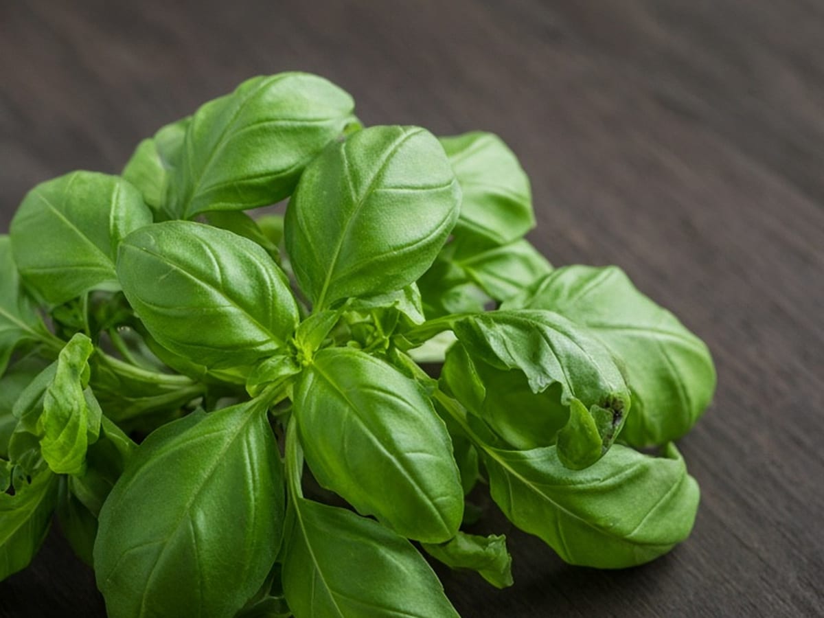 Basil, soft herbs