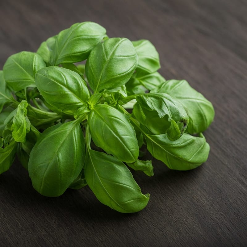 Basil, soft herbs