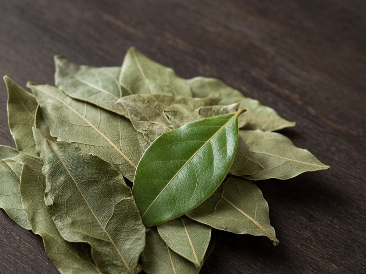 Bay Leaves, hardy herbs