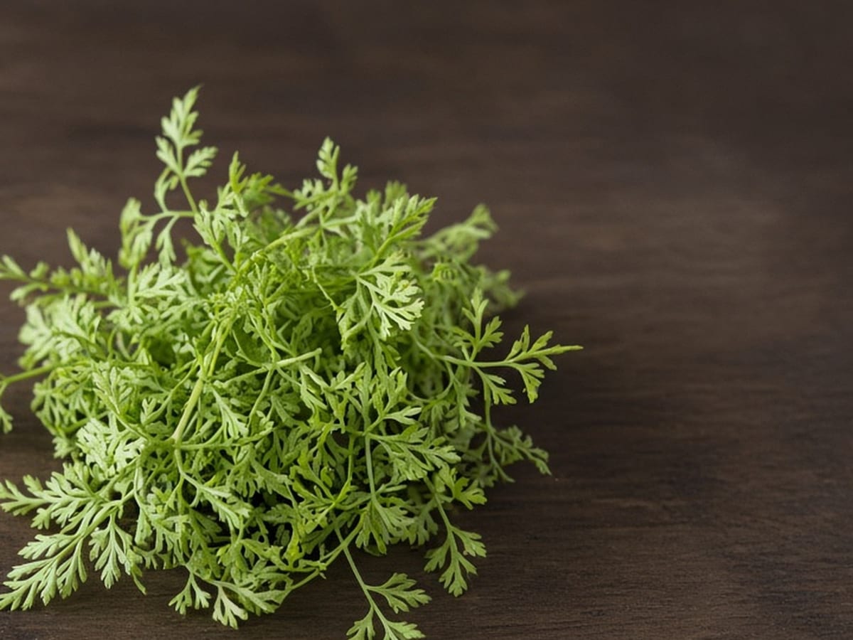 Chervil, soft herbs