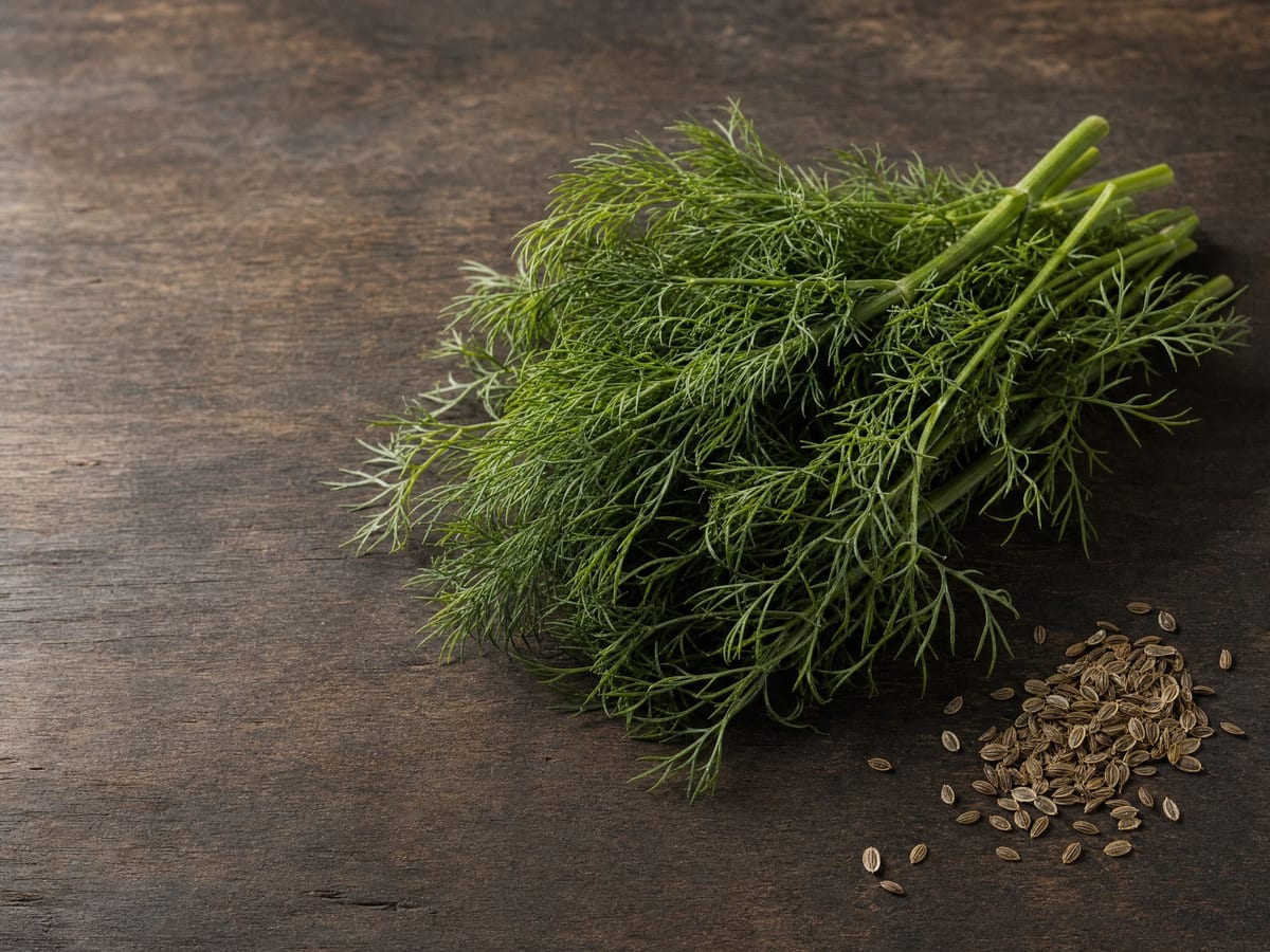 Dill, soft herbs