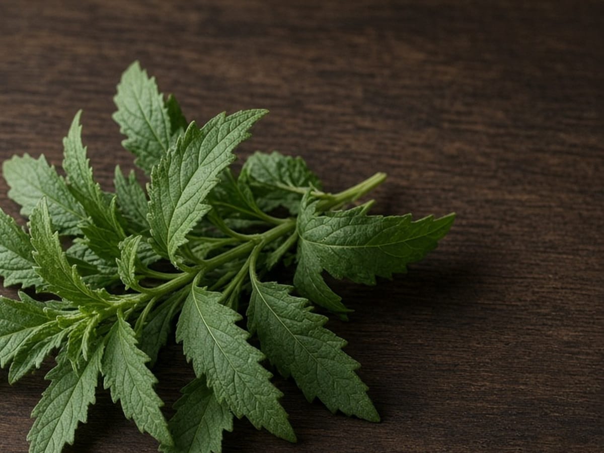 Epazote, soft herbs