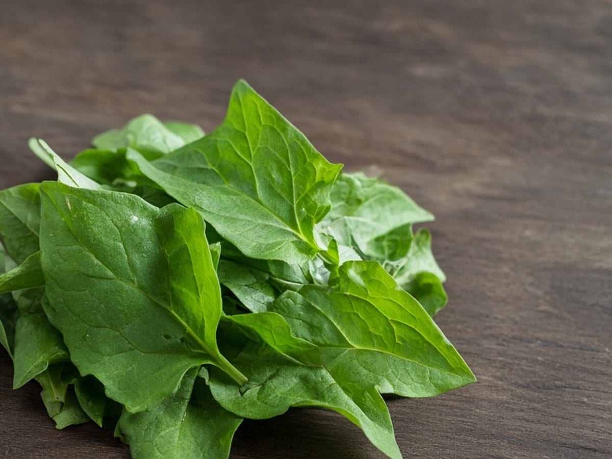 Sorrel, soft herbs