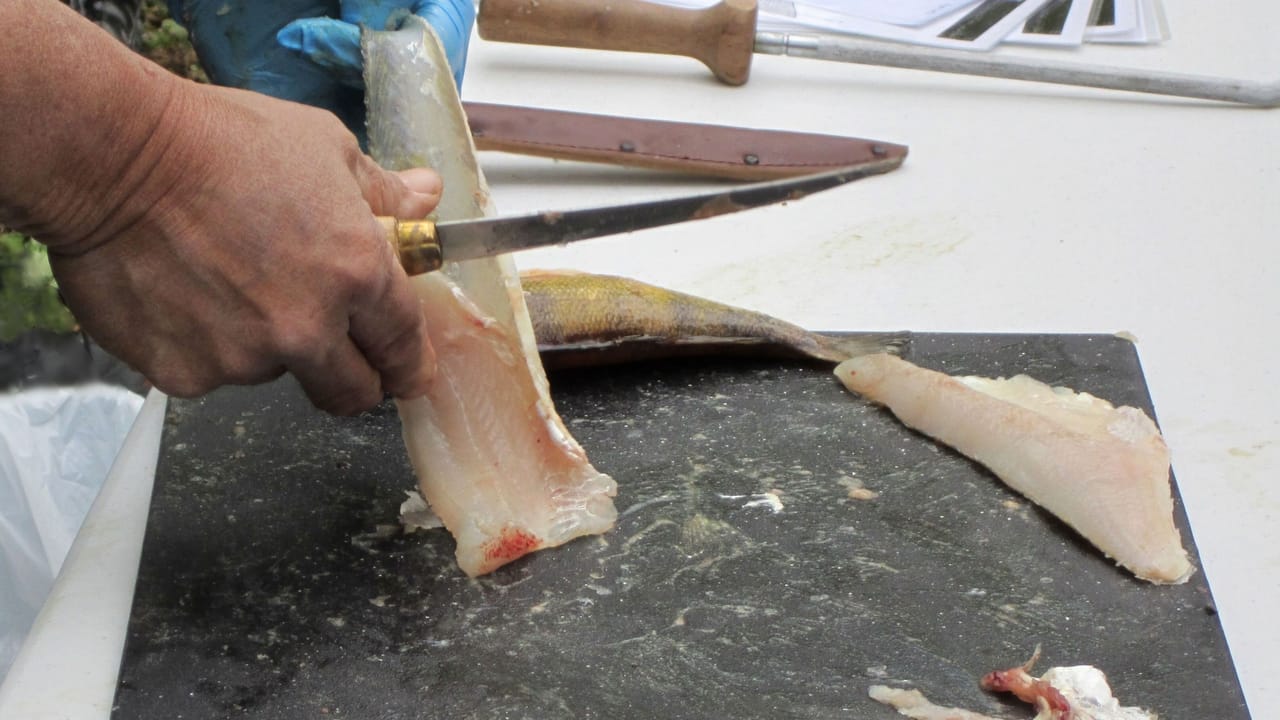 Filleting a Round Fish