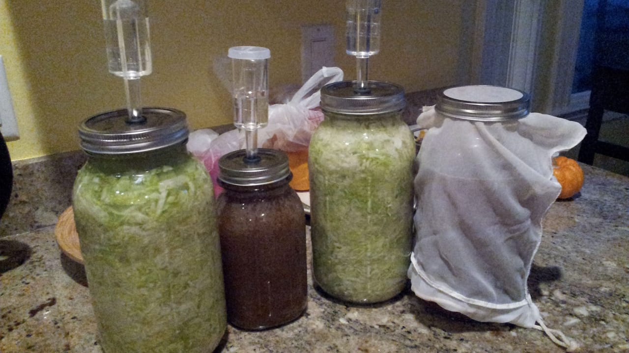 Making Sauerkraut