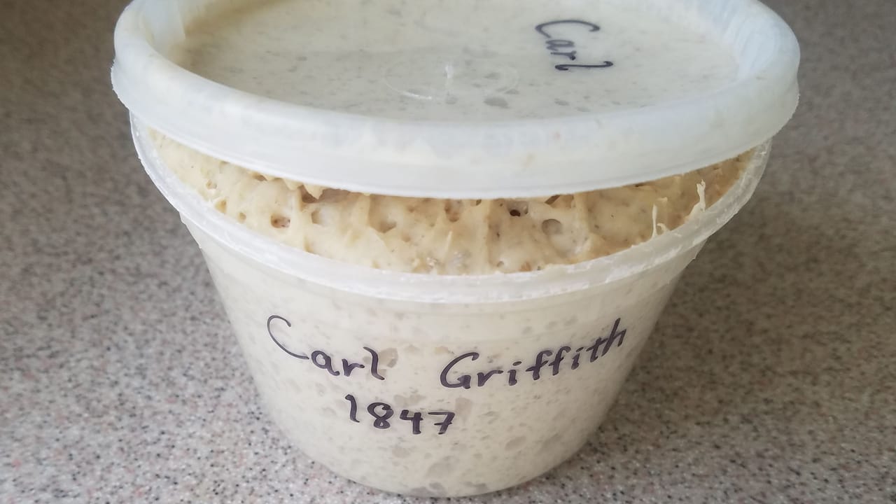 Starting and Keeping a Sourdough Starter