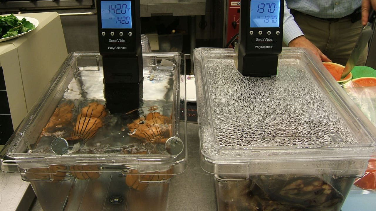 Sous Vide