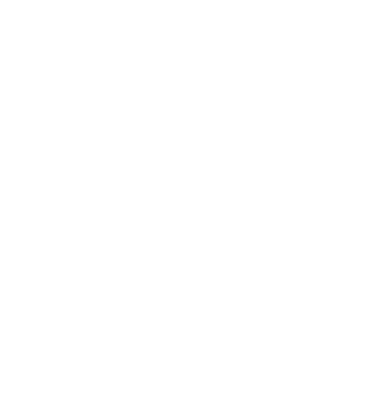 On the Dinner Plate