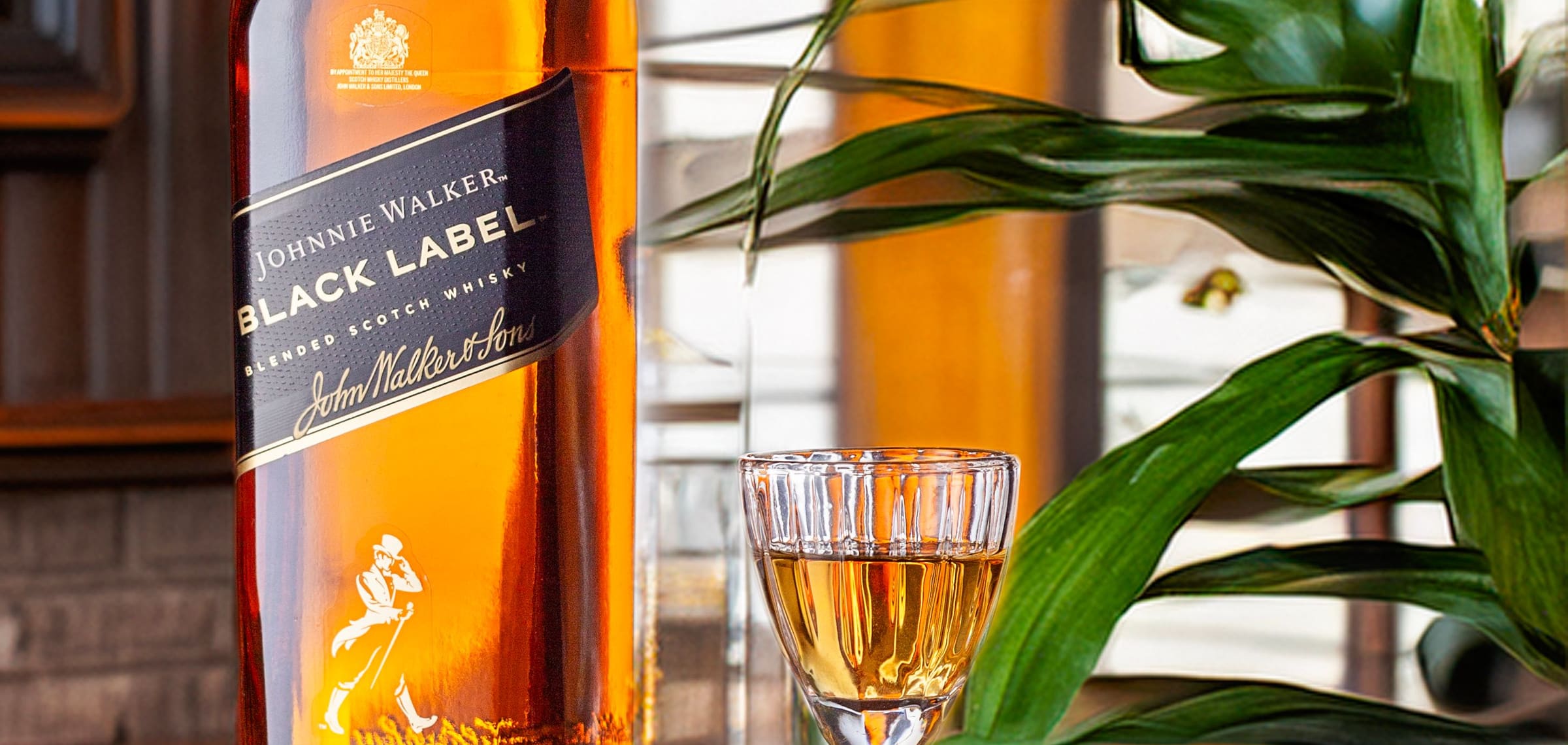 A short glass of amber whisky on a dark bar, with bottles behind it
